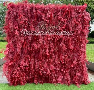 Red Feather Backdrop